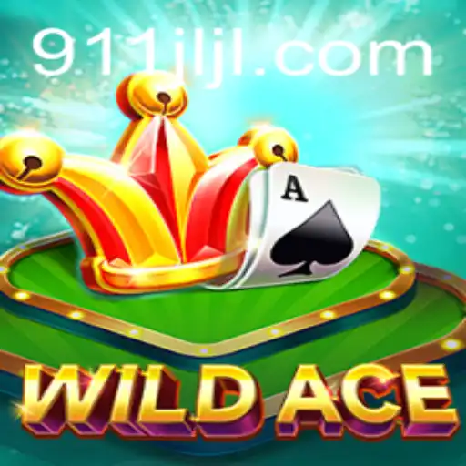 WildAce: Navigating Through an Exciting Universe
